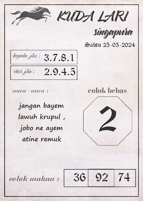 SYAIR SGP VIP